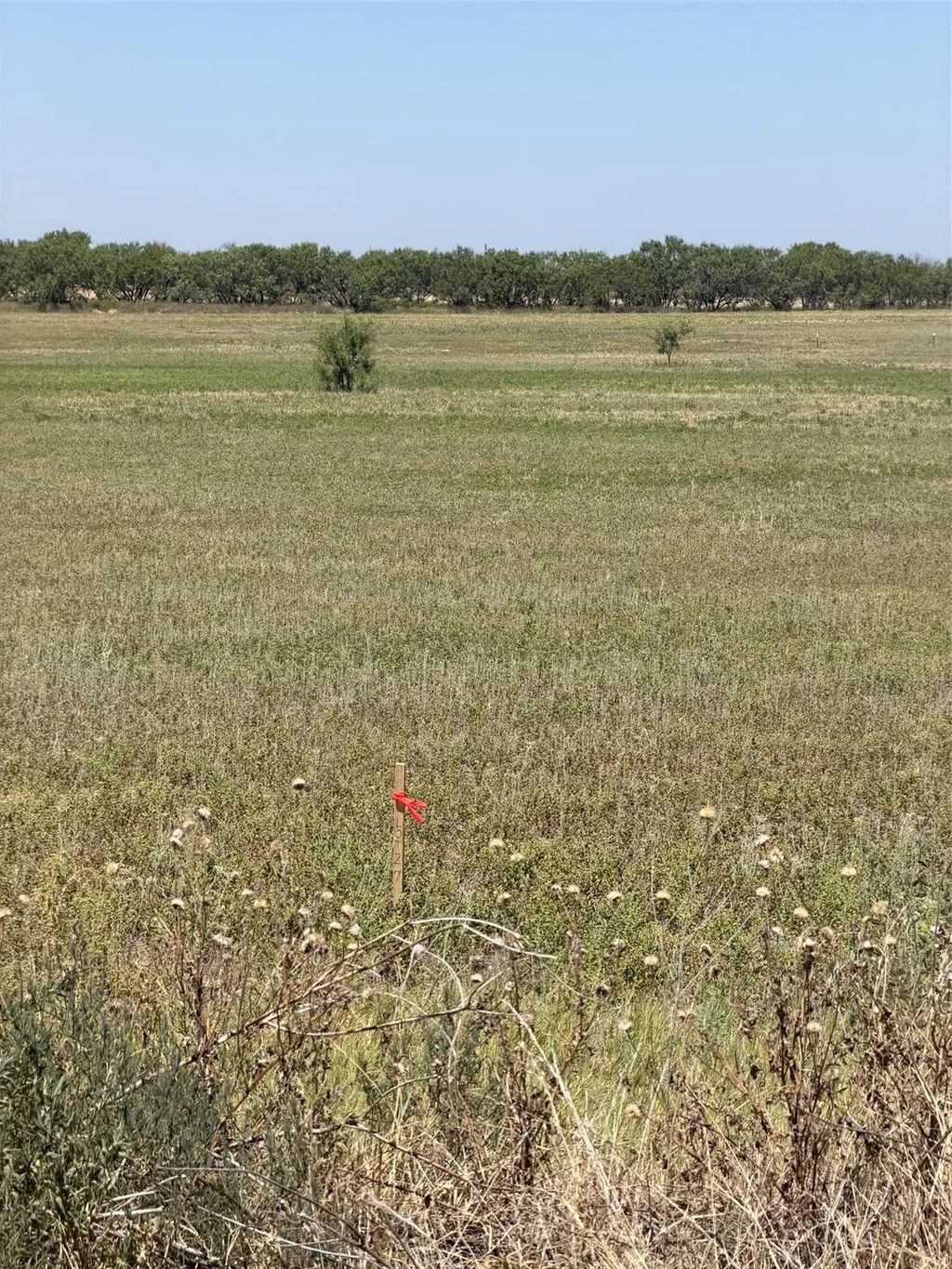 Tbd Lot 27 County Road 497, Anson