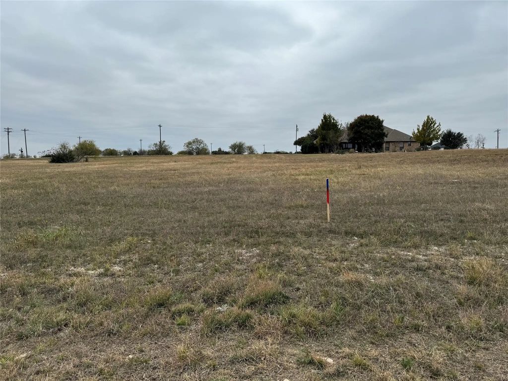 7408 Royal Winchester Drive, Cleburne