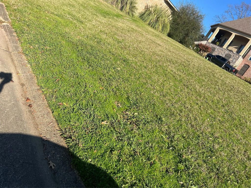 Mirador Circle, Shreveport