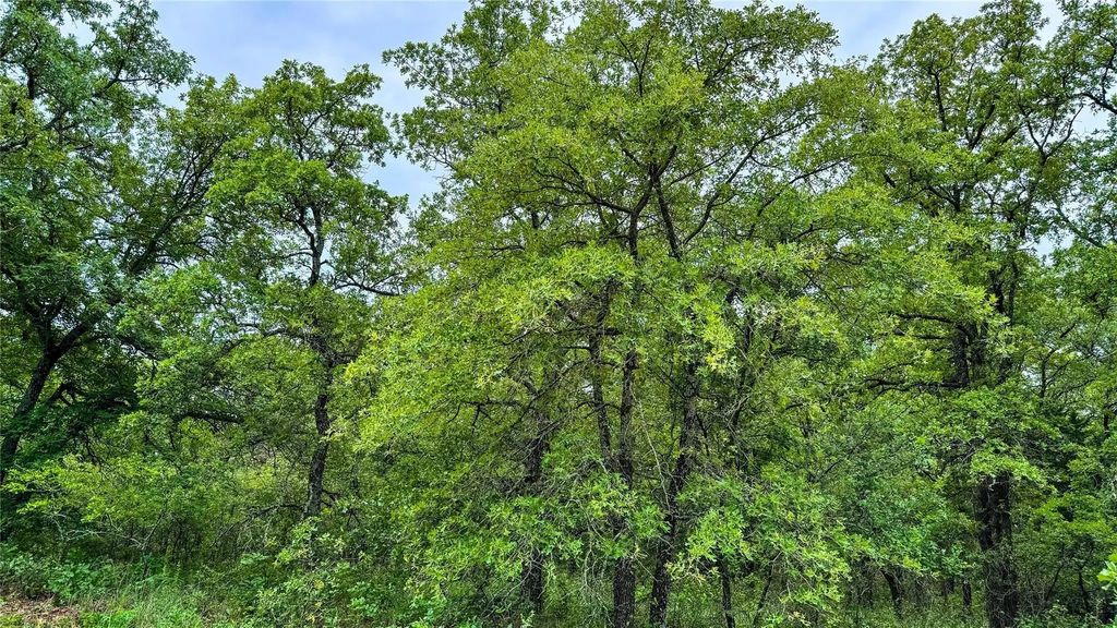 143 Briarwood Trail, Nocona