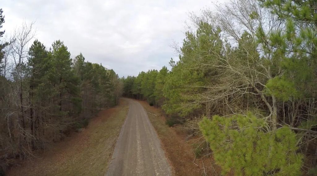 S County Road 245 N, Kilgore