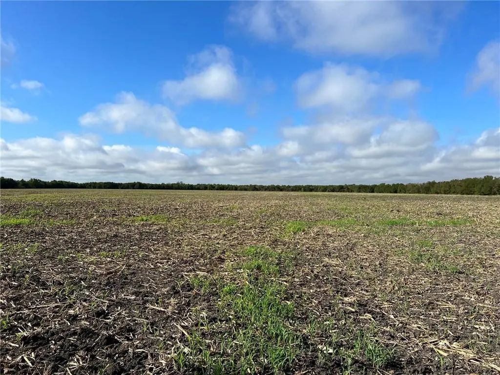 Tbd Cr 117 Road, Rogers