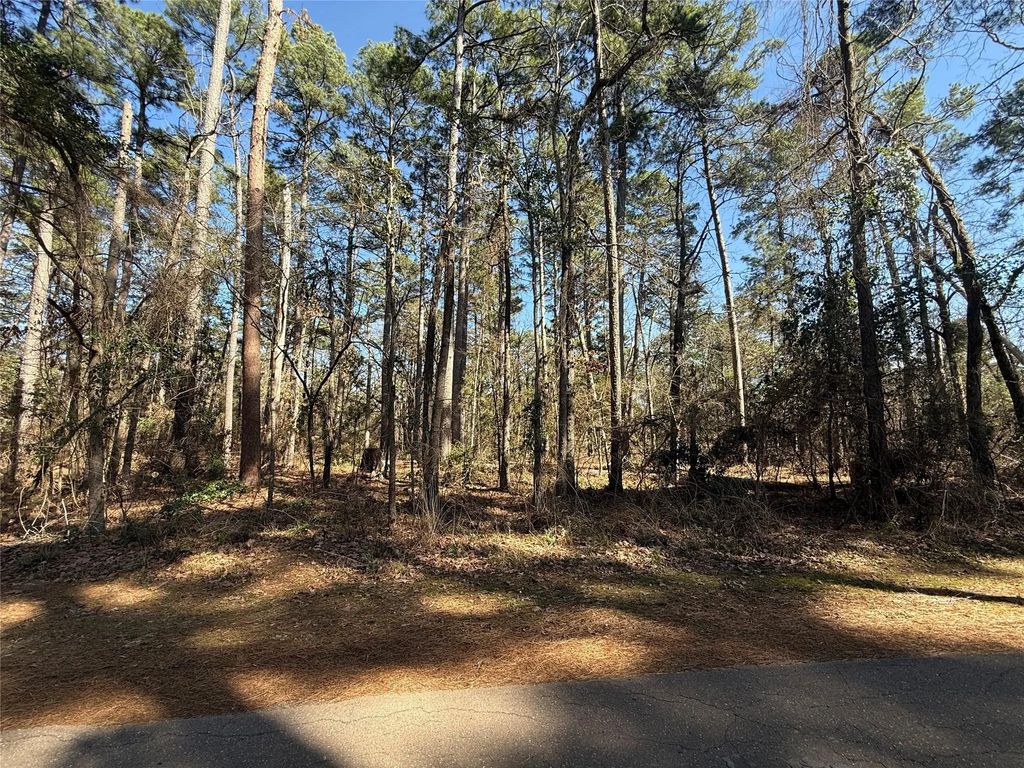 Lot 3 Private Road 8573, Winnsboro
