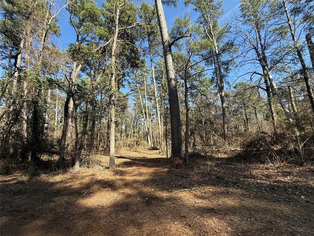 Lot 2 Private Road 8573, Winnsboro