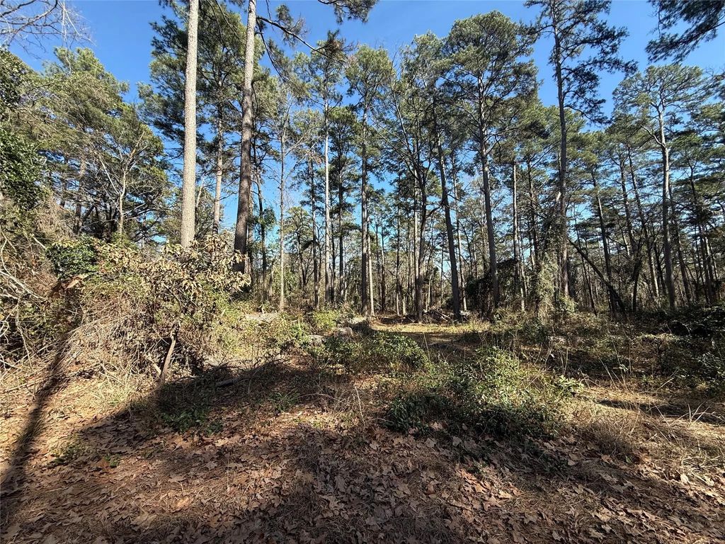 Lot 4 Private Road 8573, Winnsboro