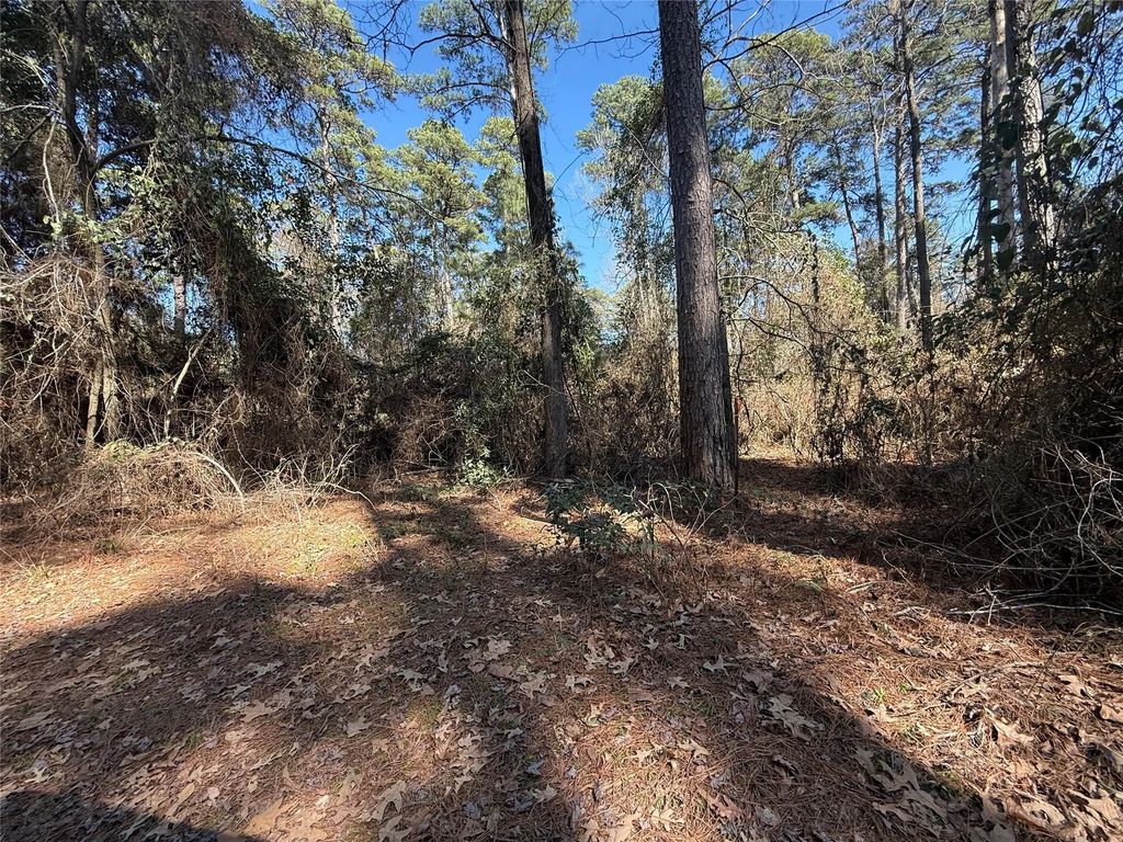 Lot 5 Private Road 8573, Winnsboro
