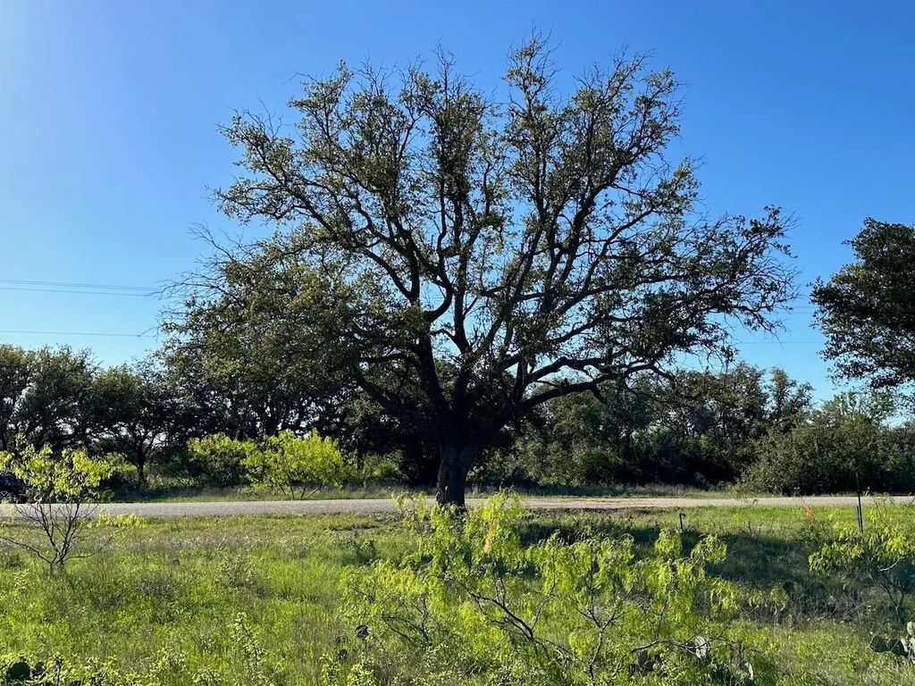 461 Feather Bay Boulevard, Brownwood