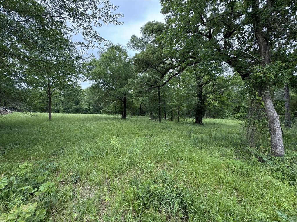 Tbd Rs County Road 3360, Emory