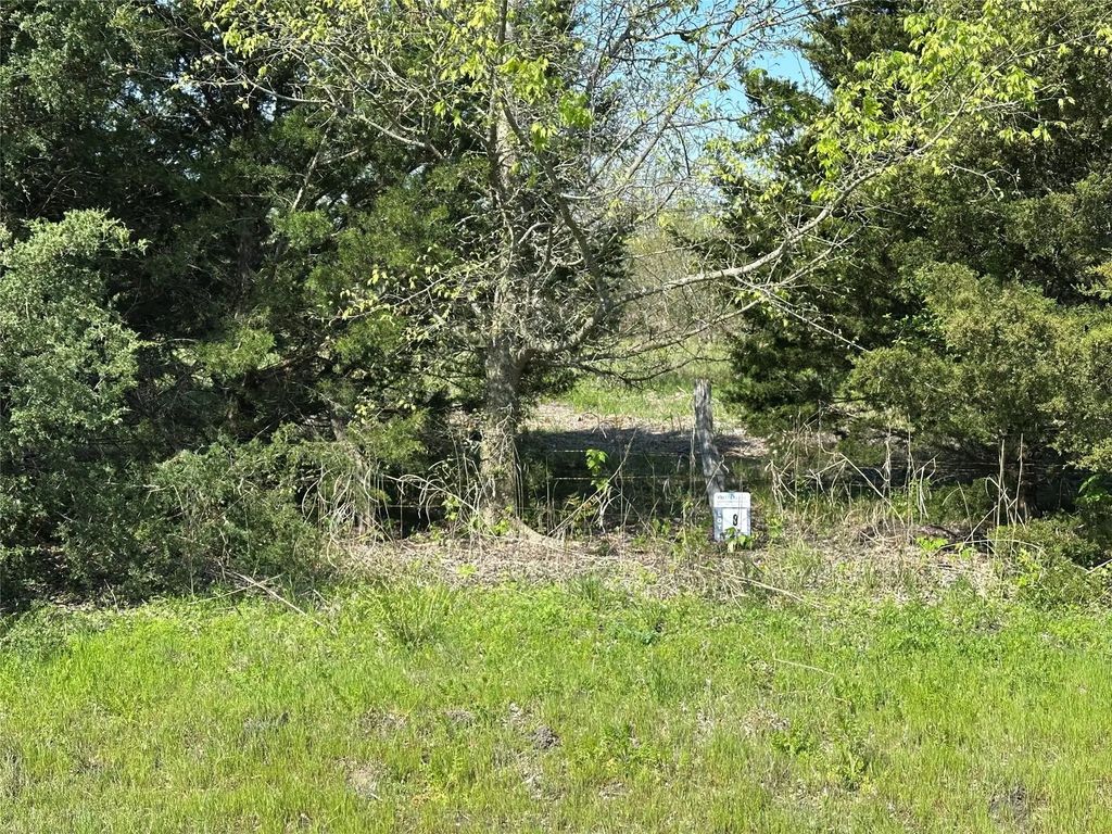 Tract 8 Farm To Market 1743, Honey Grove