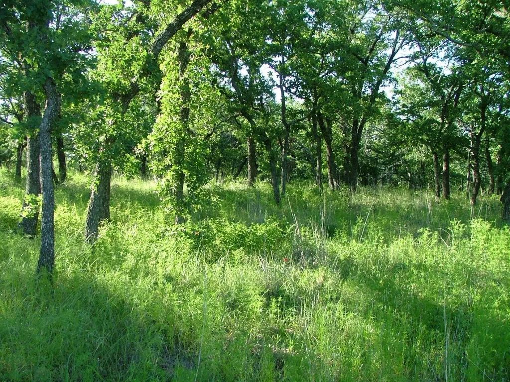 Lot 263 Ridgeline Drive, Chico