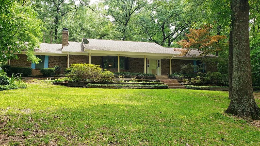 401 S Timberlane, Lone Star