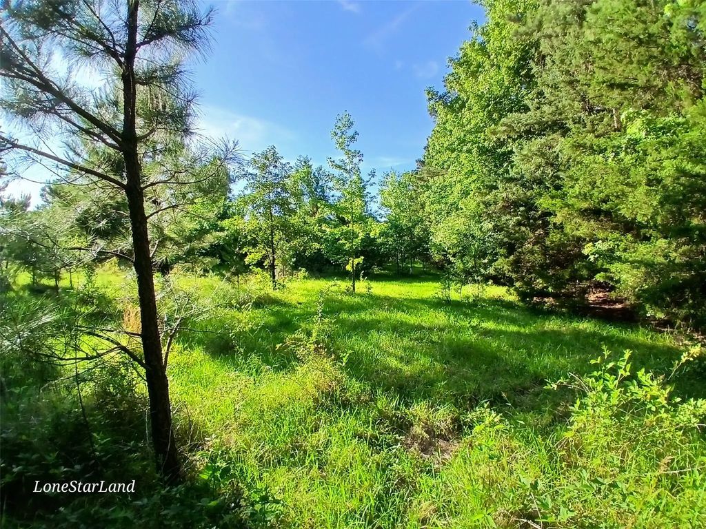 475 County Road 4421, Pittsburg