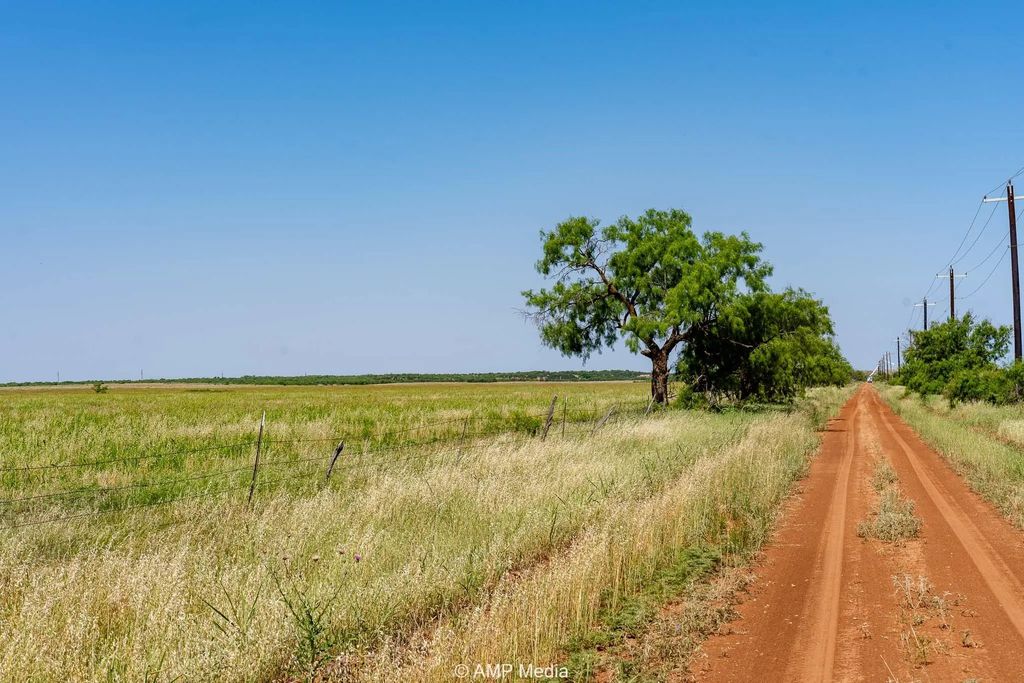 Fm 2142 Fm 2142, Rotan