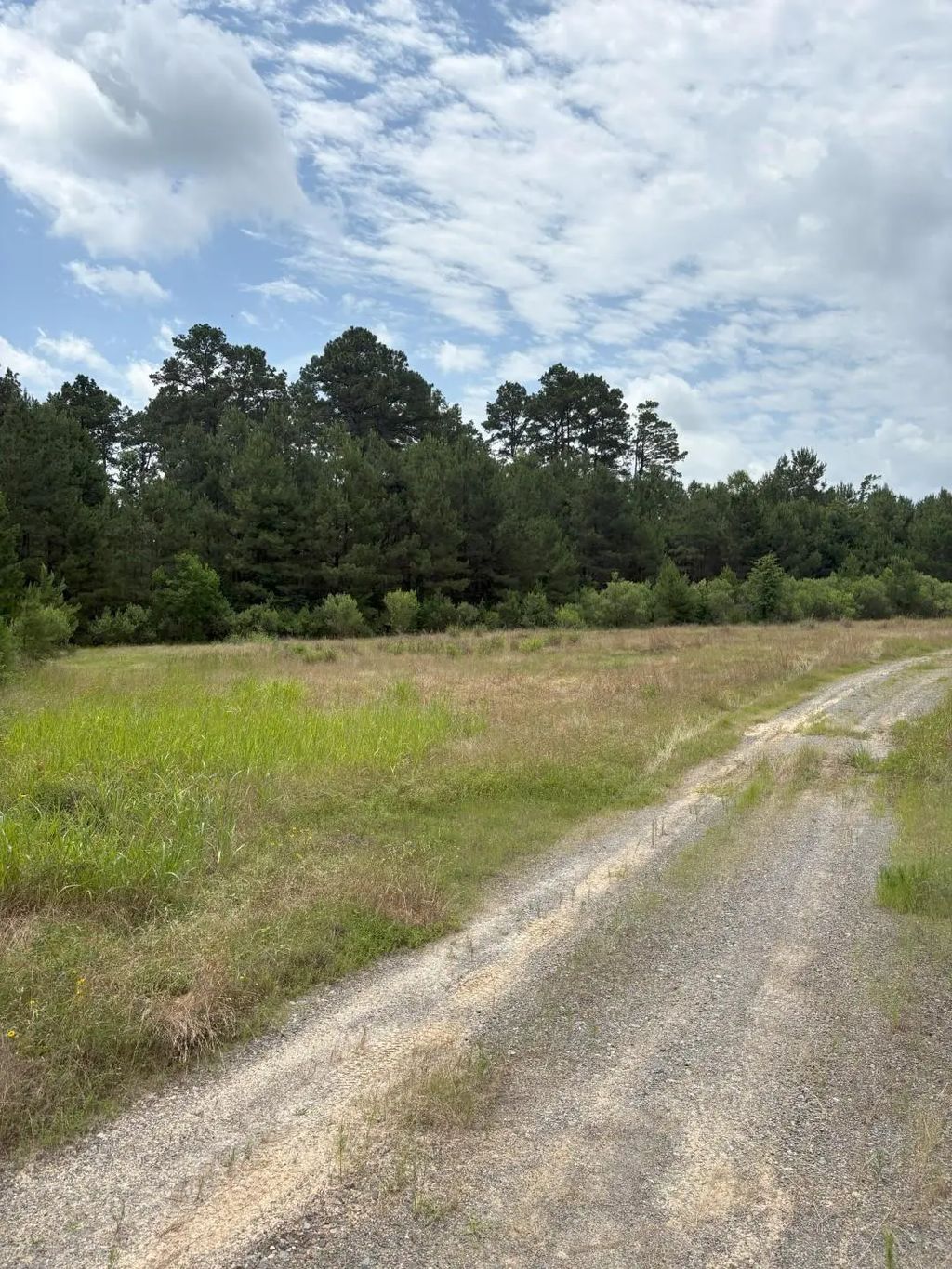 Tbd County Road 425, Tenaha