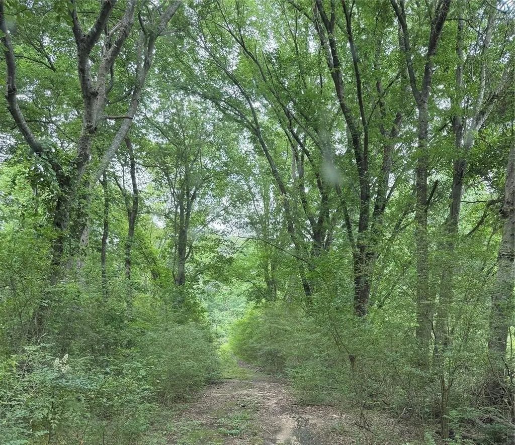 32 Acres County Road 2324, Como