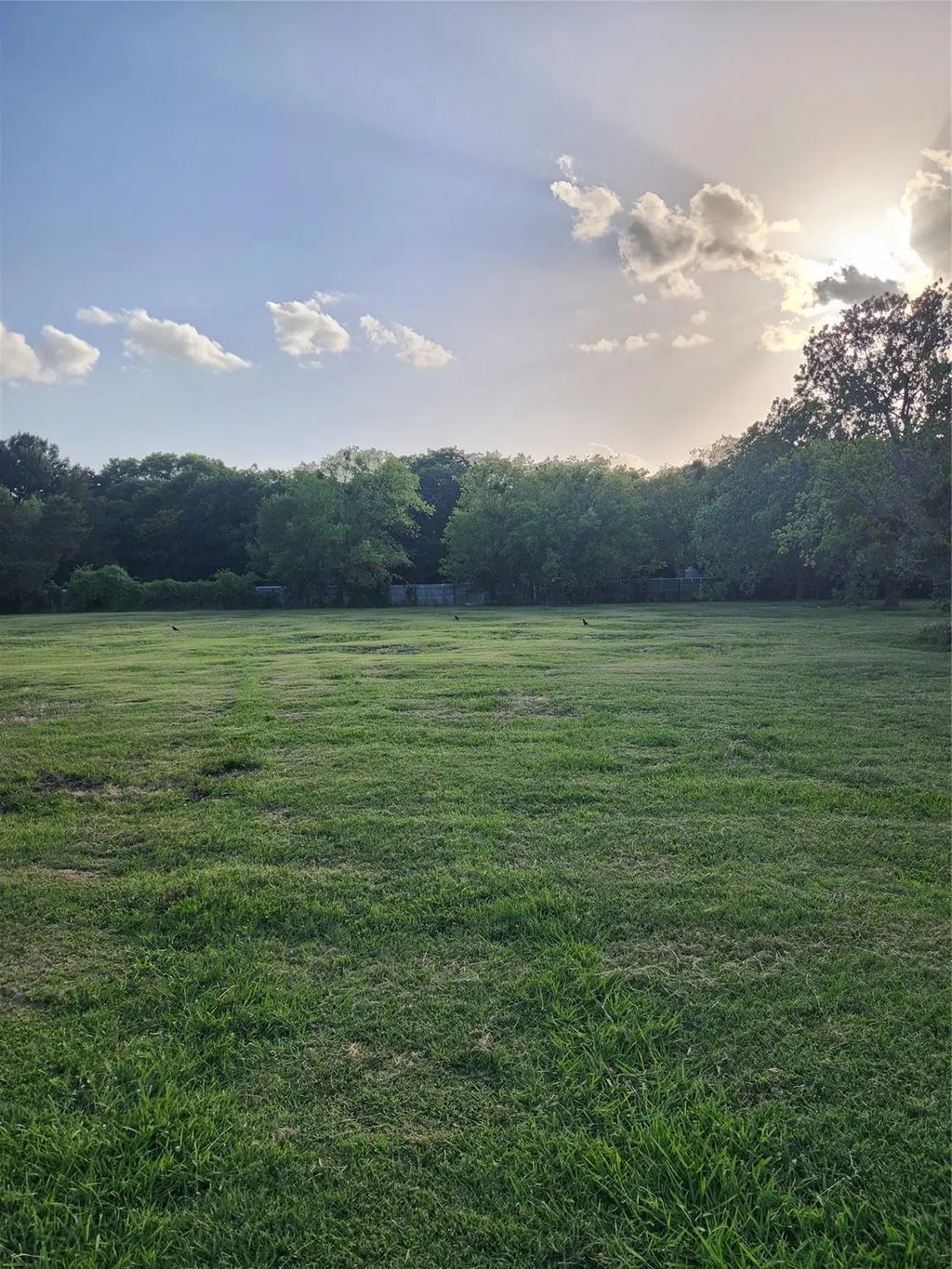 7913 Wayne Way, Rowlett