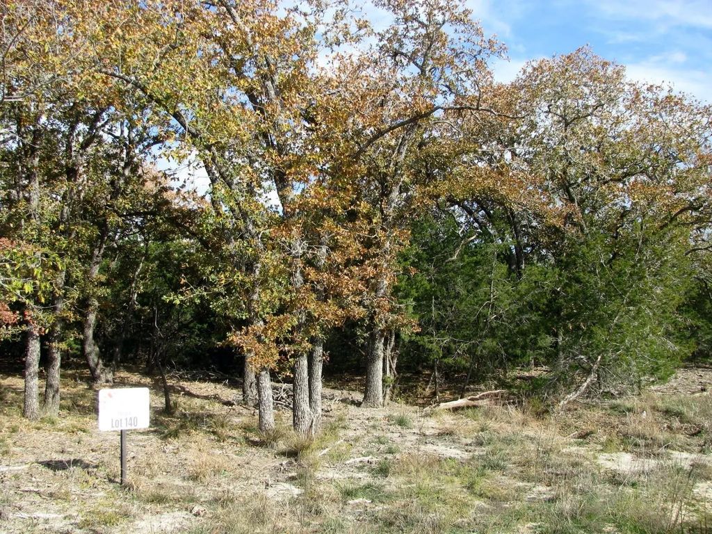 Lot 140 Ph 6 County Road 421, Evant
