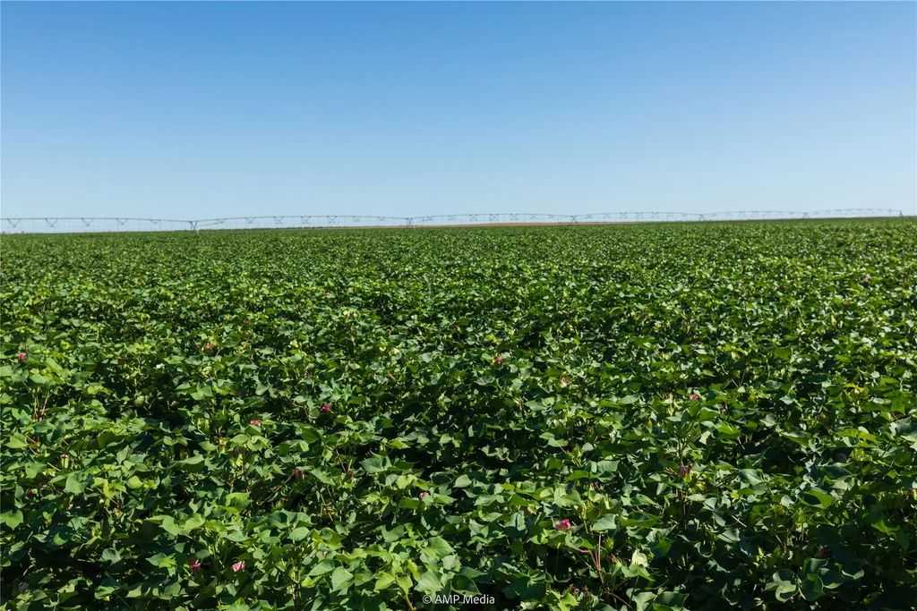 Tbd Cr 1691, O'Brien