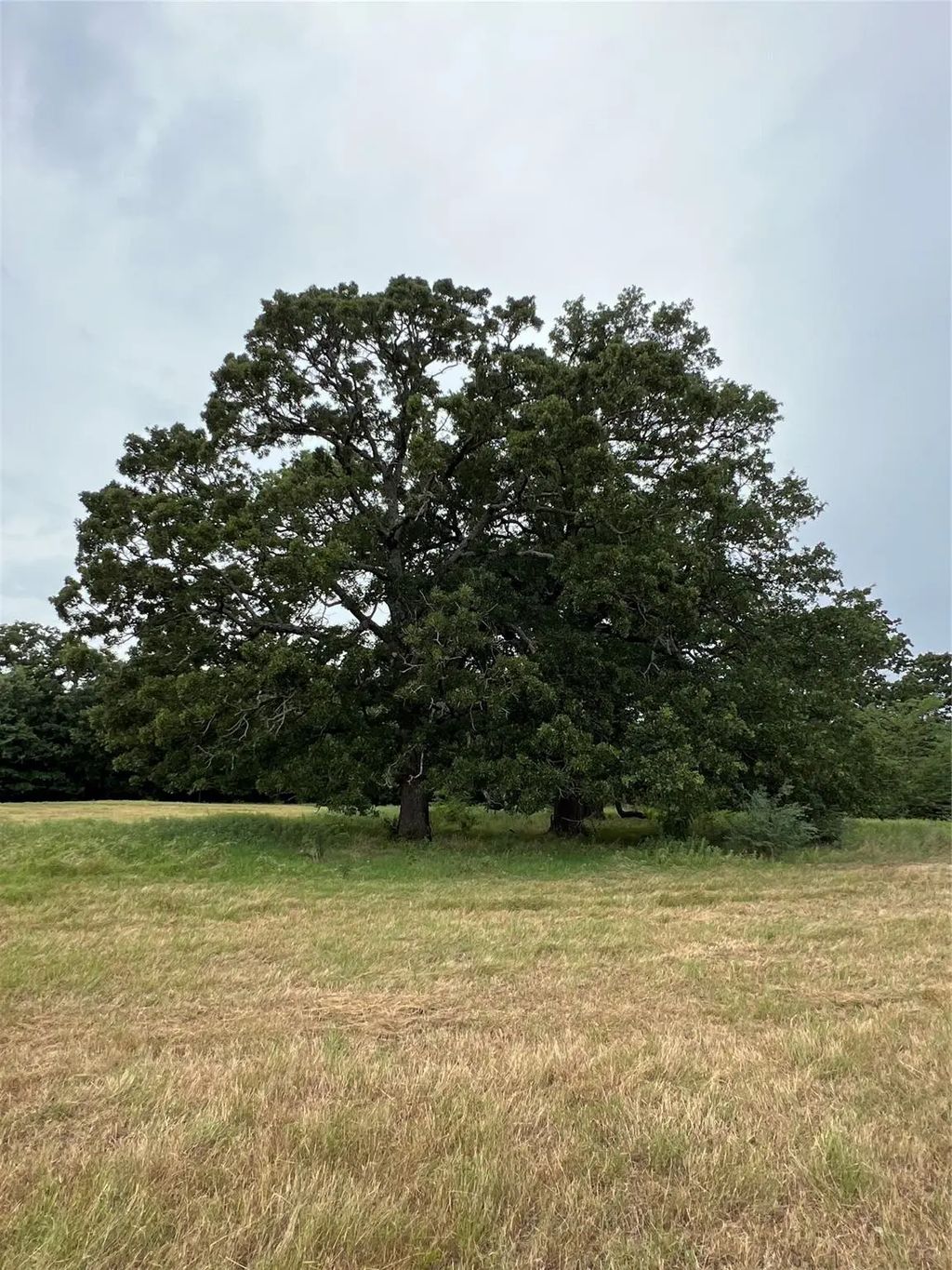 County Road 3512, Dike