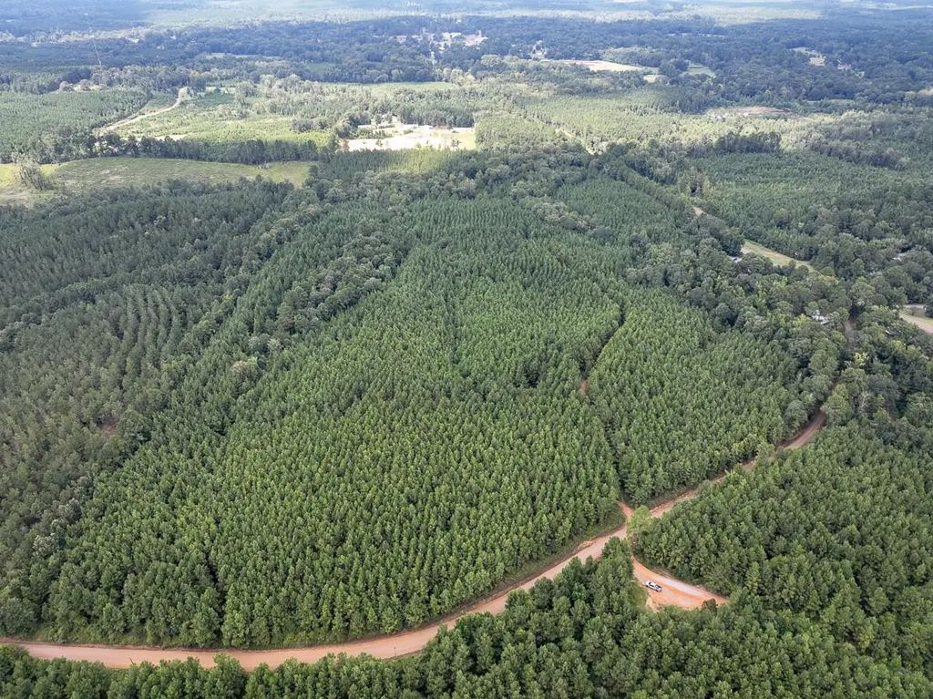 T-1 Provencal Vowell Mills Rd, Natchitoches