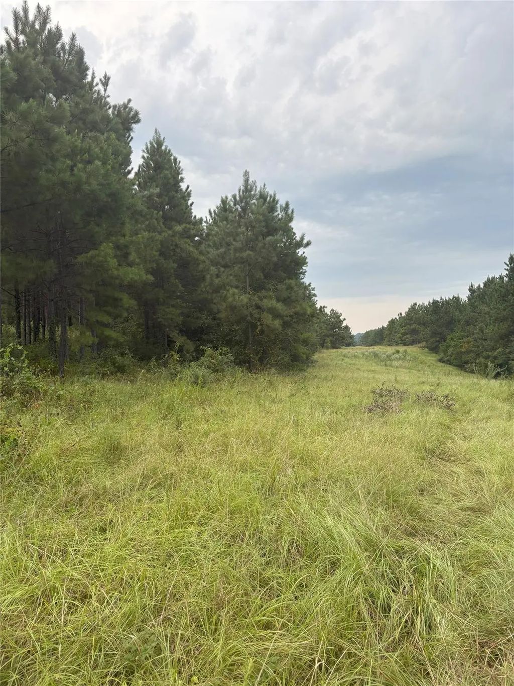 1388 County Road 1060, Center