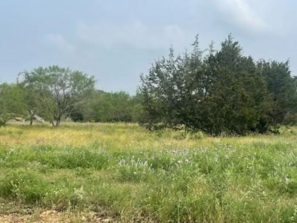 Lot 175 Heartleaf Drive, Lampasas