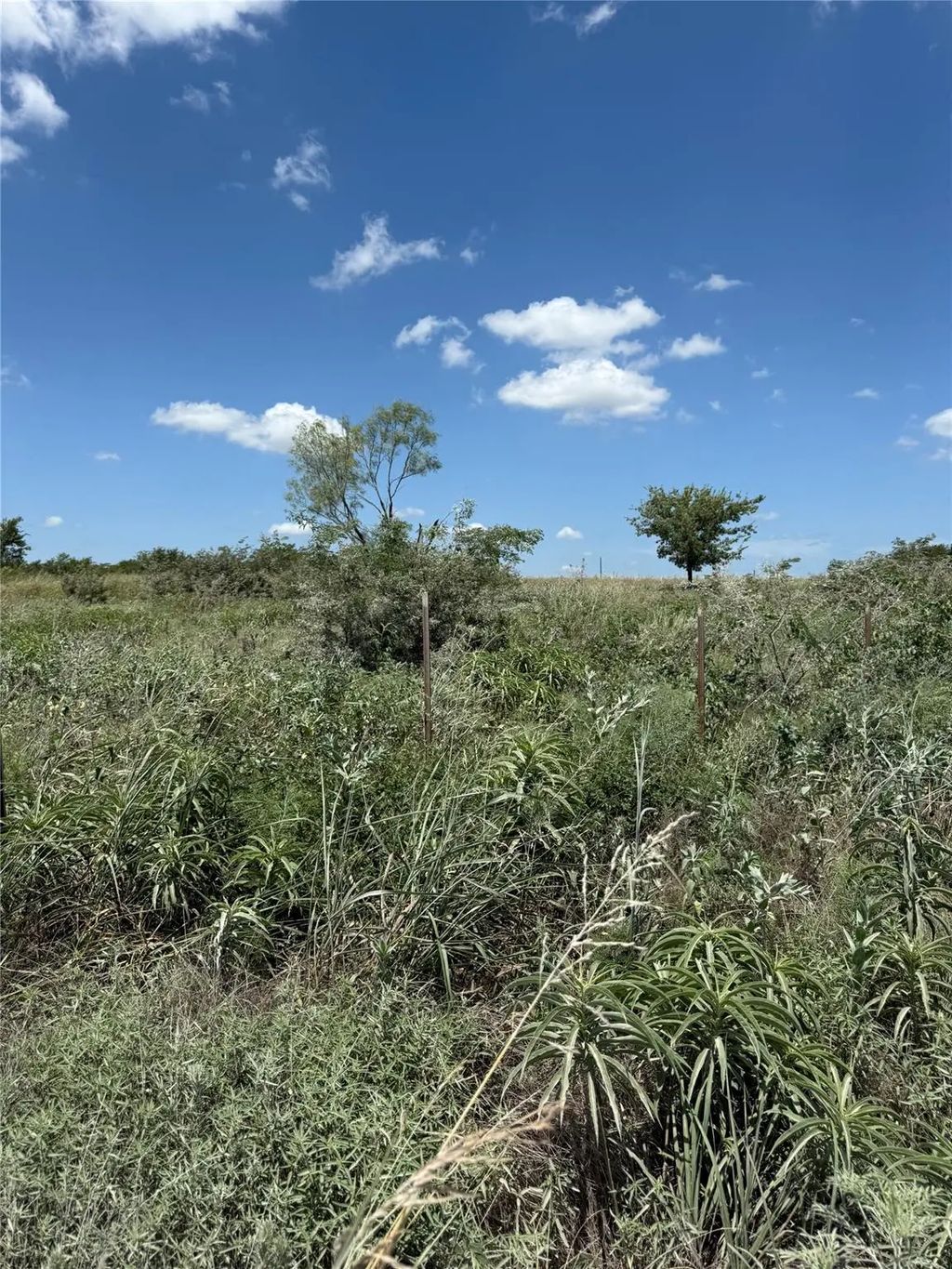 Tbd Cr 410, Gainesville