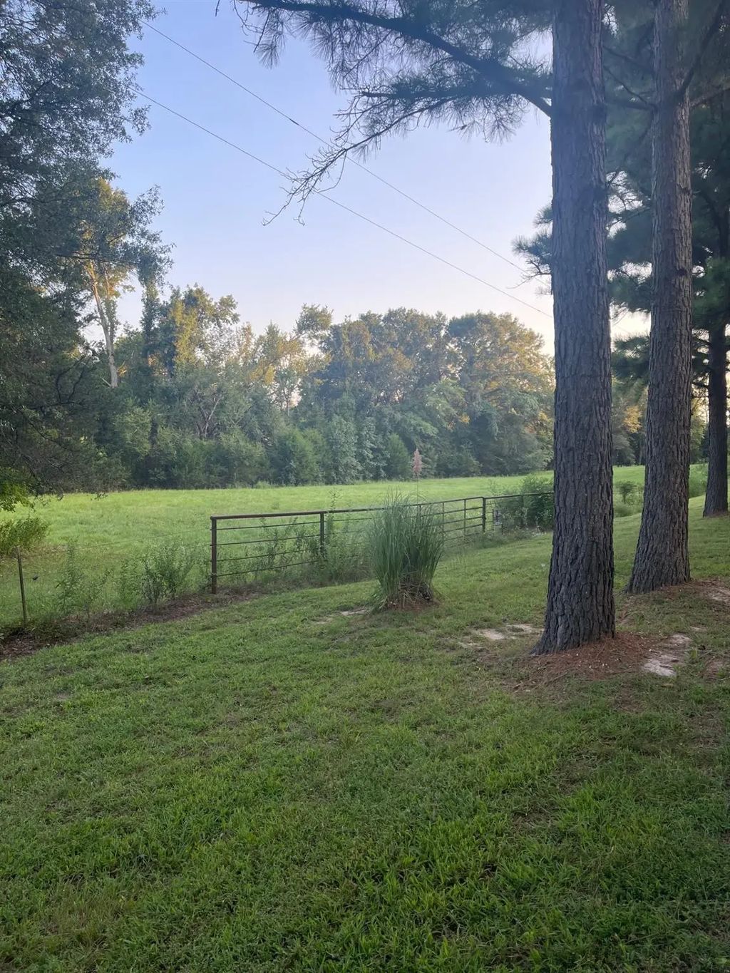 Fm 2909 & Pr 8905, Canton
