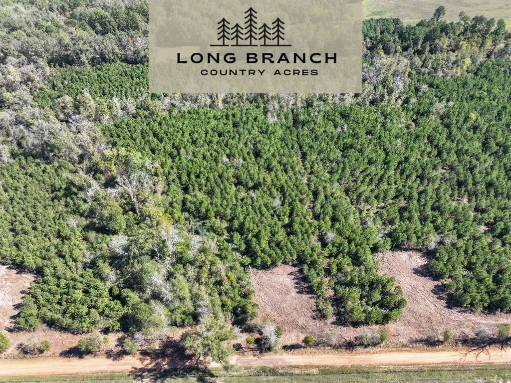 6 County Road 3121, Long Branch