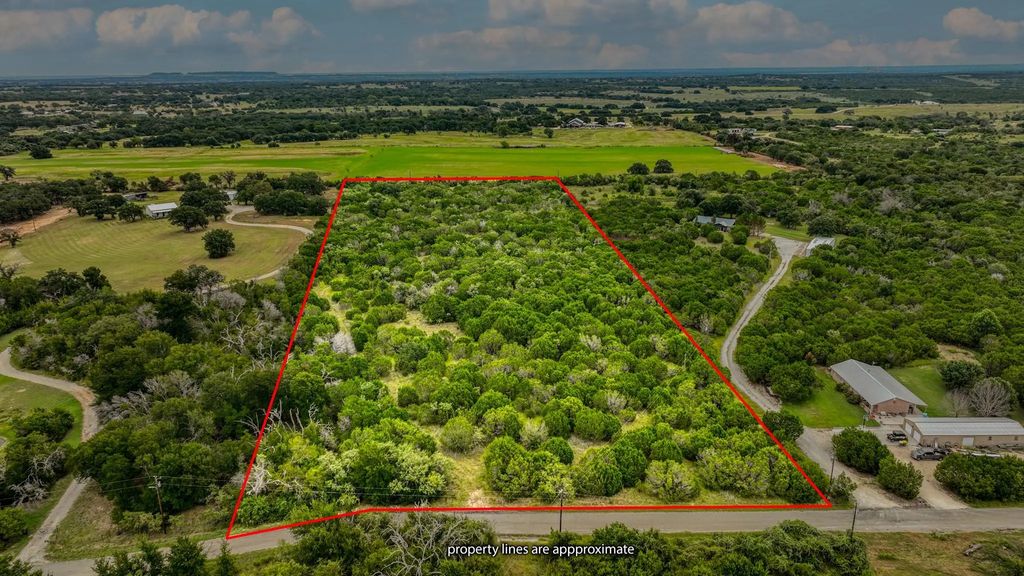 9133 Mcarthur Court, Tolar