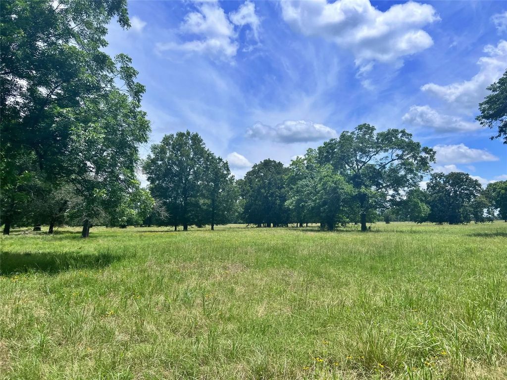 695 County Road 1210, Lake Creek