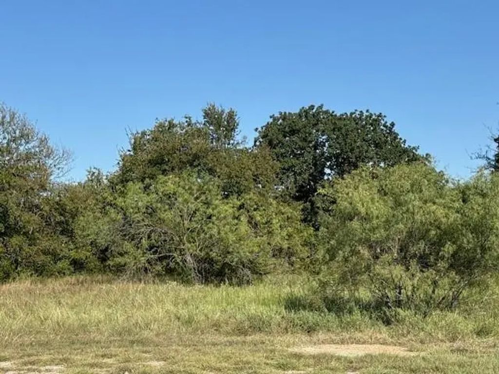 31033 Doe Run Court, Whitney