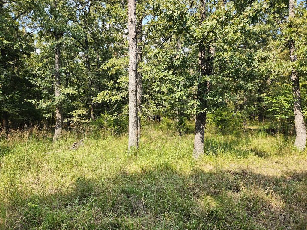 Lot 31 Fox Point Road, Quinlan