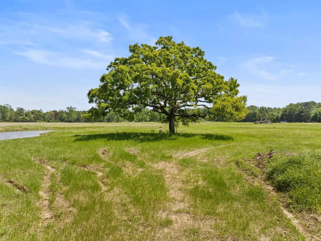 Lot A County Road 3324, Pittsburg
