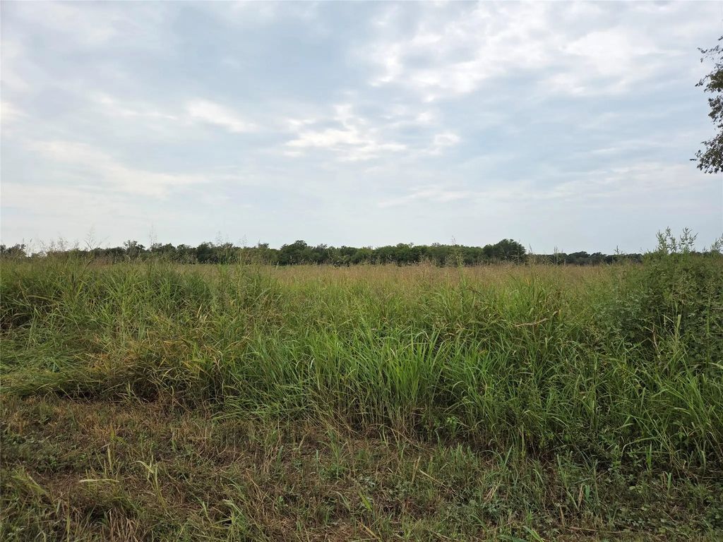 Tbd County Road 3615, Honey Grove