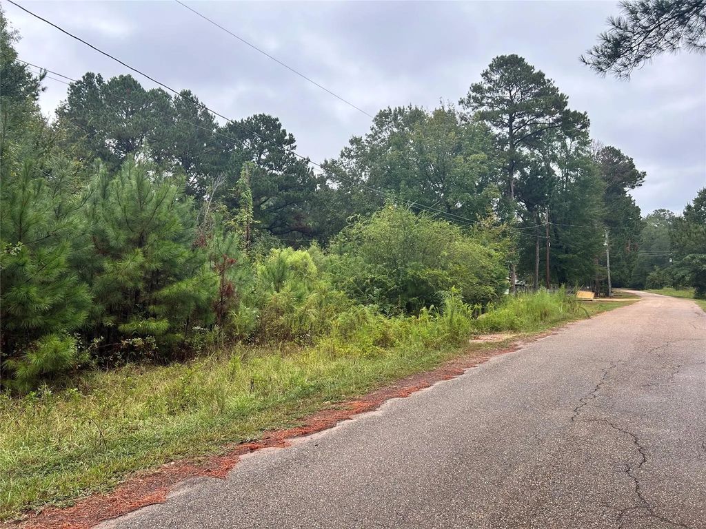 162 Lewis Loop, Cotton Valley