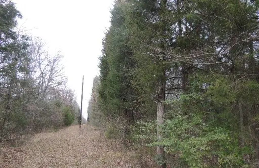 Tbd County Road 4455, Point