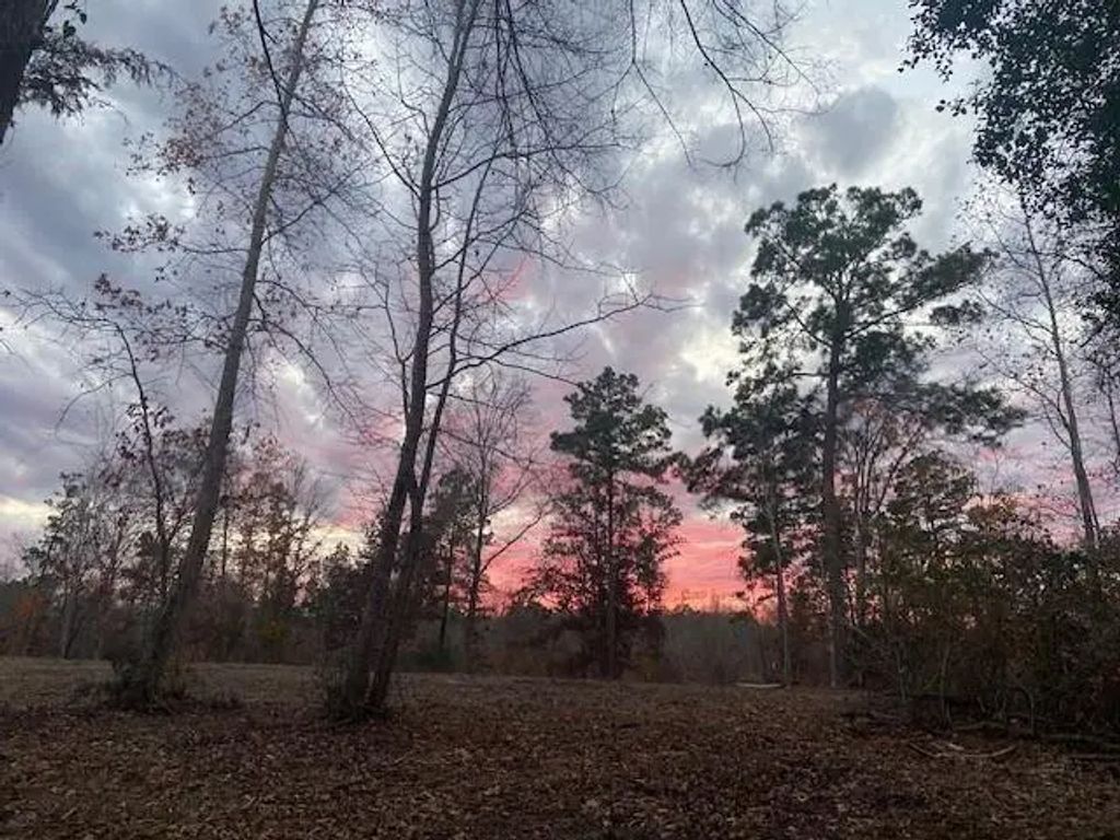 536 An County Road 1233, Palestine