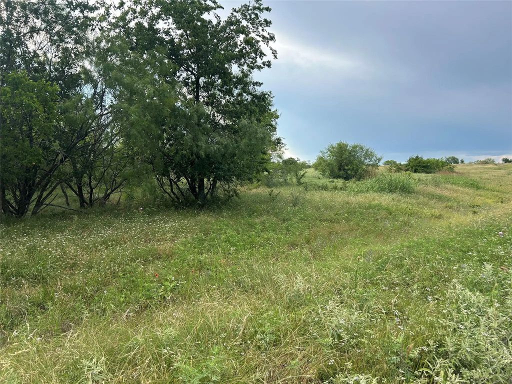 4060 Mirielle Drive, Aledo