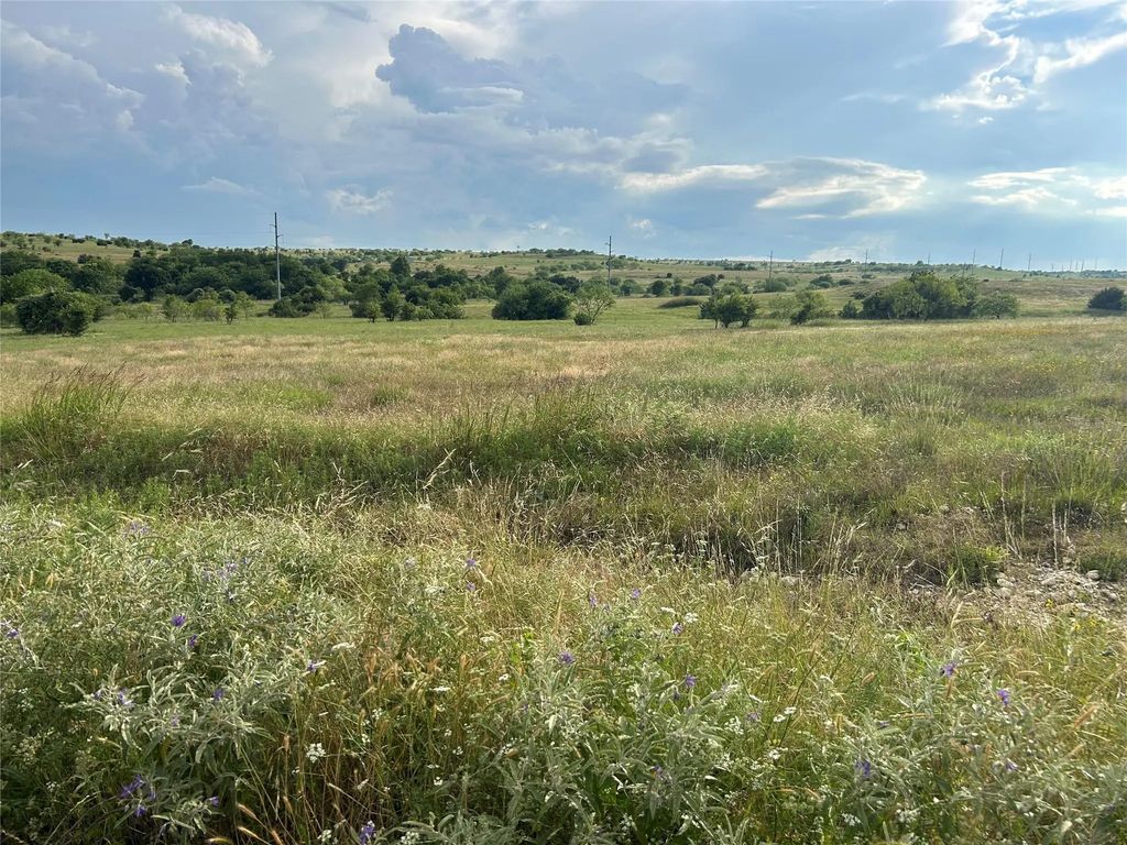4050 Mirielle Drive, Aledo