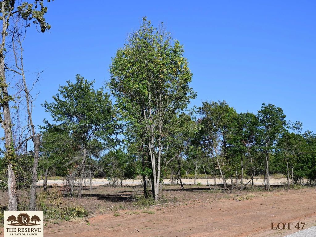 Lot 47 Colt Road, Springtown