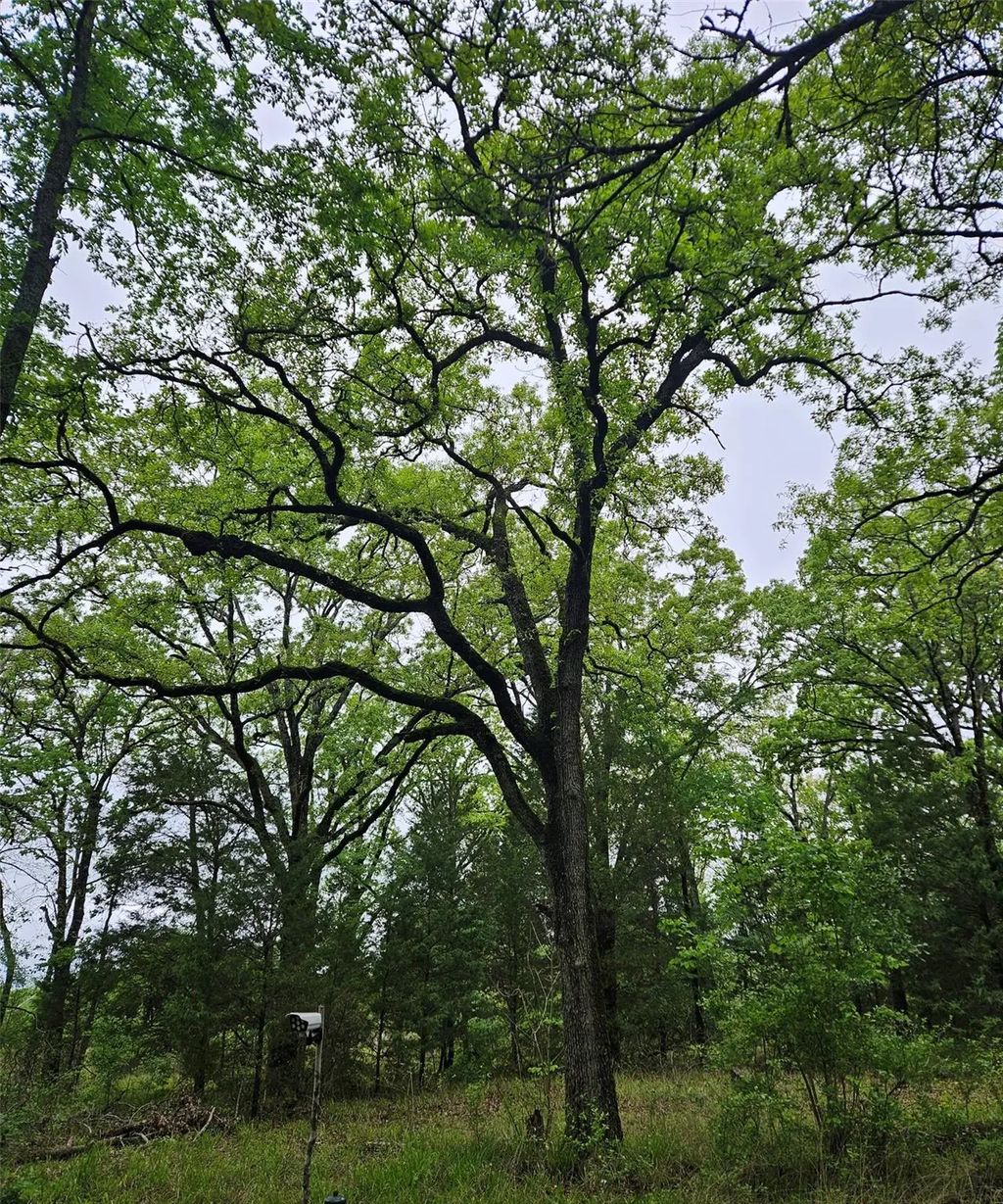 01 Private 5401 Road, Malakoff