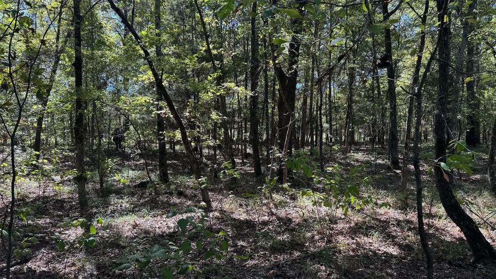 75 County Road 2115, Bagwell