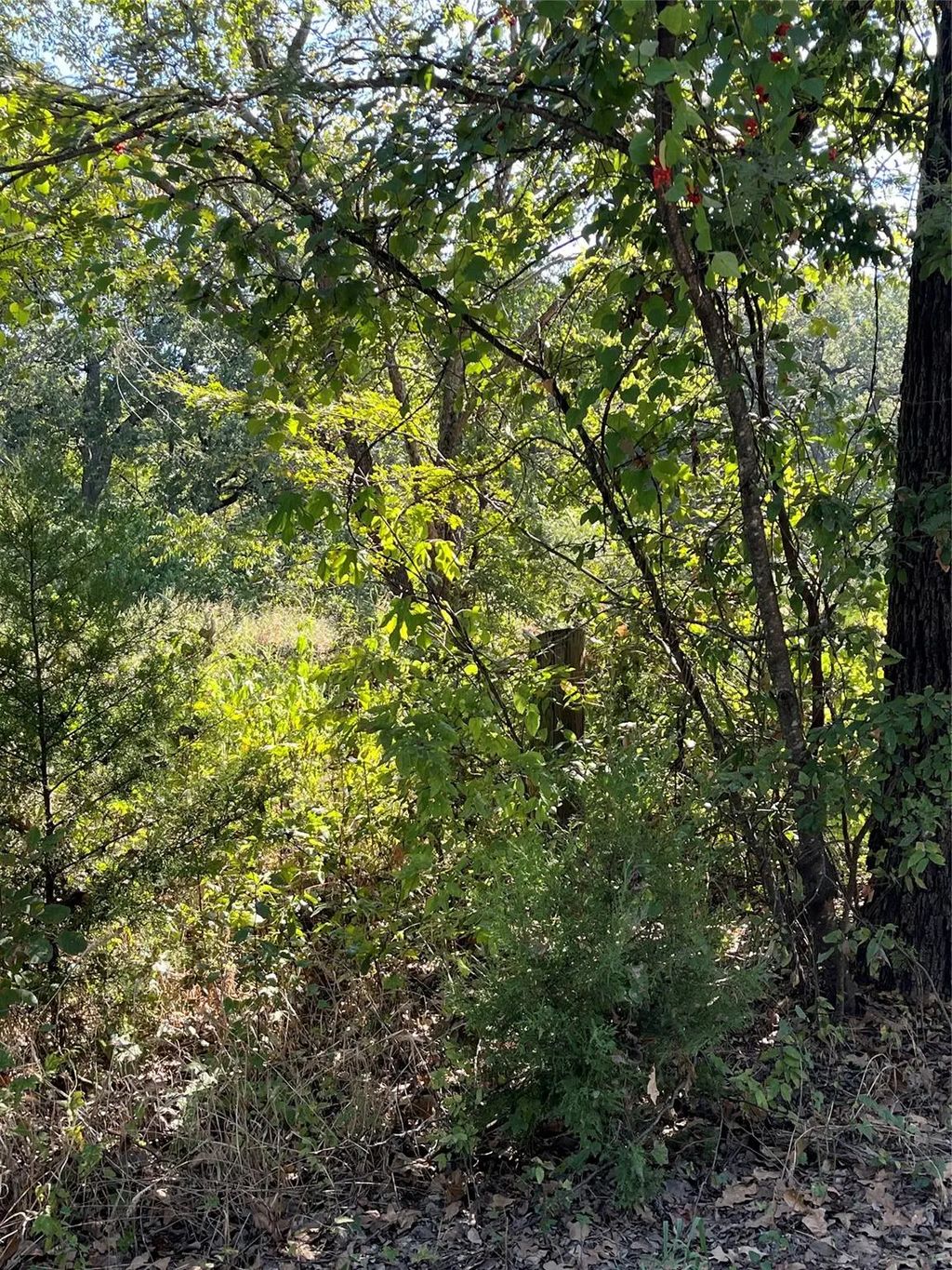 Pinewood Drive, Hawk Cove