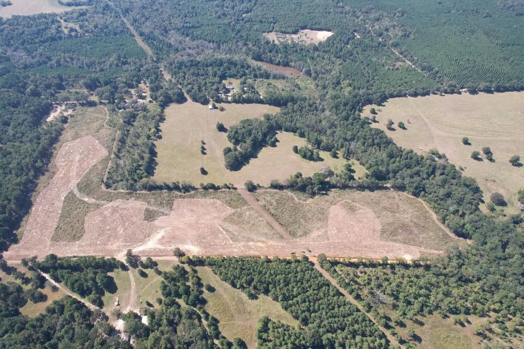 Tbd-c County Road 4172d, Laneville