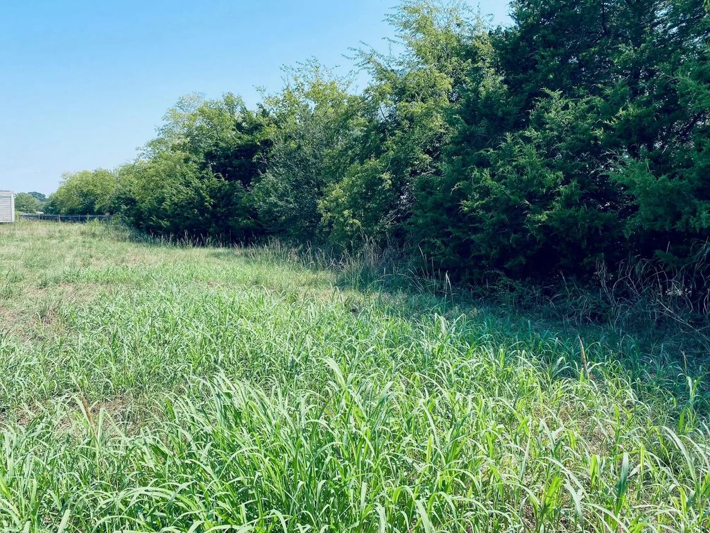 236 County Road 1450 Road, Point