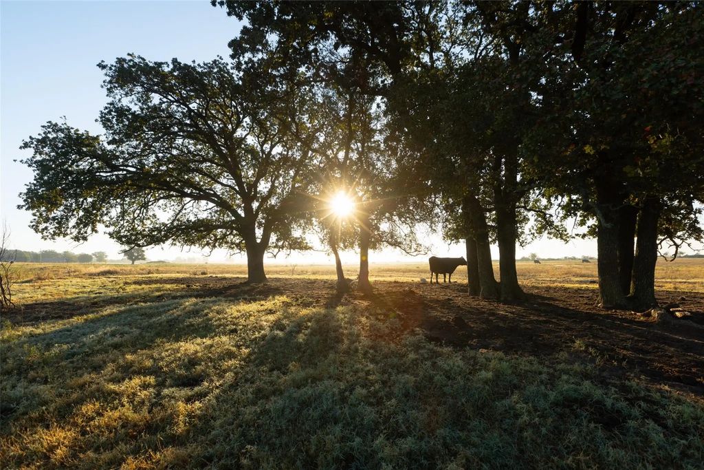 Tbd Brushy Road Tract 3, Granbury