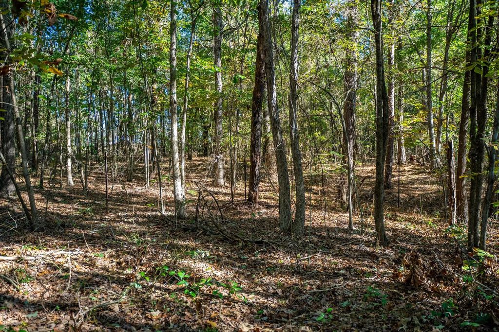 County Road 4105, Daingerfield