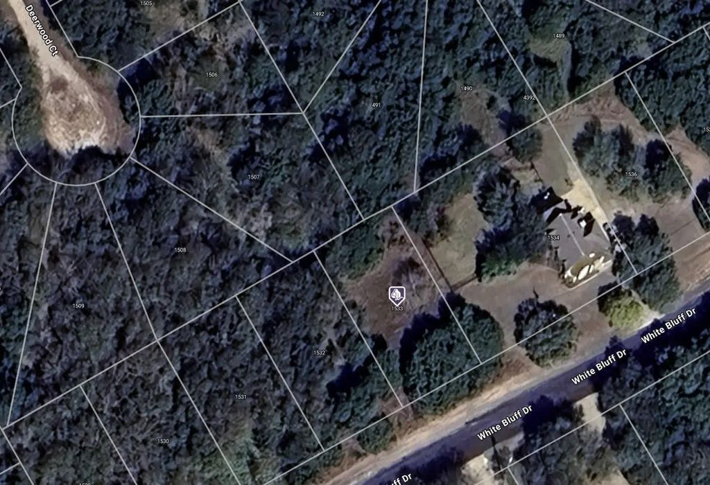 1533 White Bluff Drive, Whitney