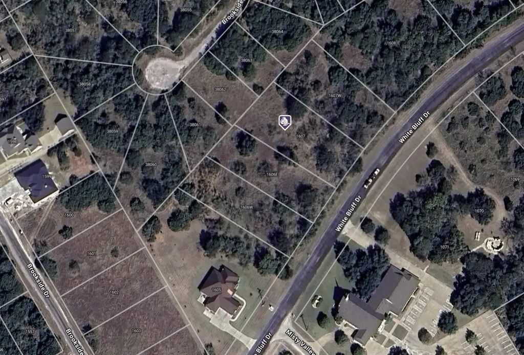 1607 White Bluff Drive, Whitney